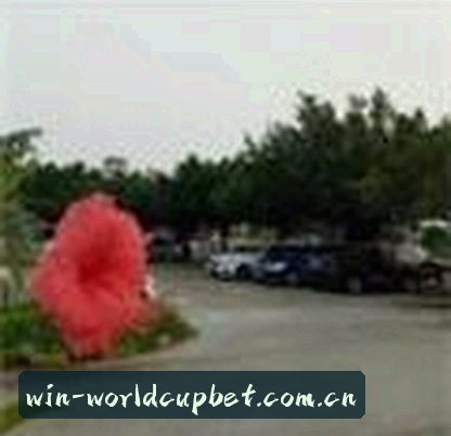 张磊